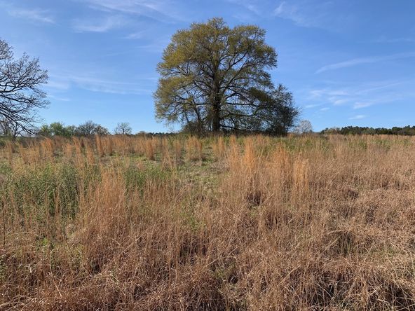 TBD Pleasant View Rd: TBD Pleasant View Rd, Ozark, AR 72949